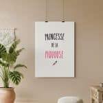affiche princesse de la piquouse