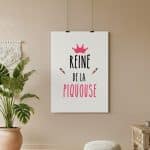 affiche reine de la piquouse